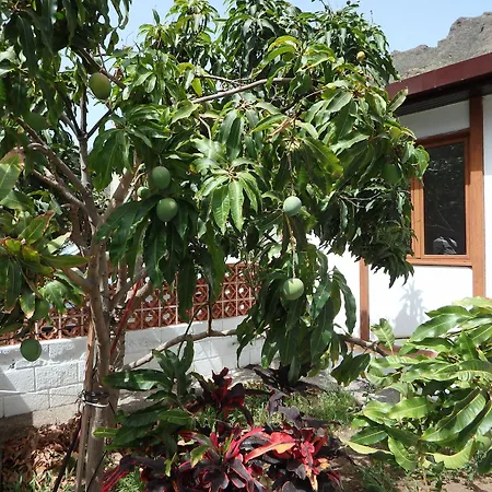 Holiday home Casa Vera *